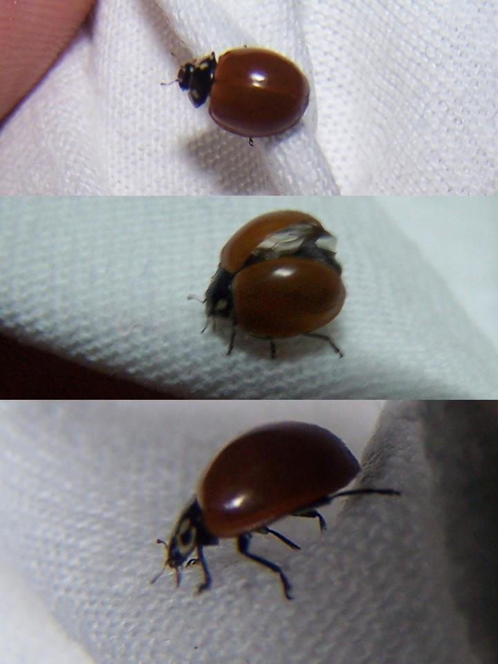 FIGURE 3 FIGURE 3